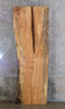 Thumbnail for Rustic Live Edge Maple Bar/Table/Office Desk Top Wood Slab 45028