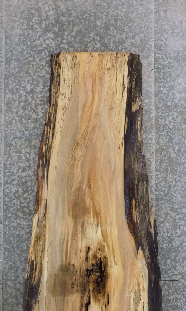 Natural Edge Spalted Maple Bar/Table Top Wood Slab CLOSEOUT 45032