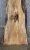 Thumbnail for Natural Edge Spalted Maple Bar/Table Top Wood Slab CLOSEOUT 45032