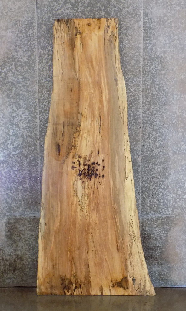 Natural Edge Spalted Maple Bar/Table Top Wood Slab CLOSEOUT 45032