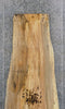 Thumbnail for Natural Edge Spalted Maple Bar/Table Top Wood Slab CLOSEOUT 45032