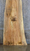 Thumbnail for Natural Edge Spalted Maple Bar/Table Top Wood Slab CLOSEOUT 45032