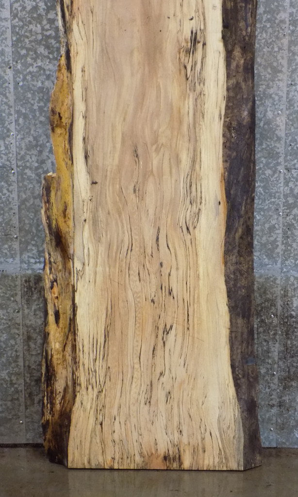 Live Edge Spalted Maple Salvaged Kitchen Table/Desk Top Slab 45041