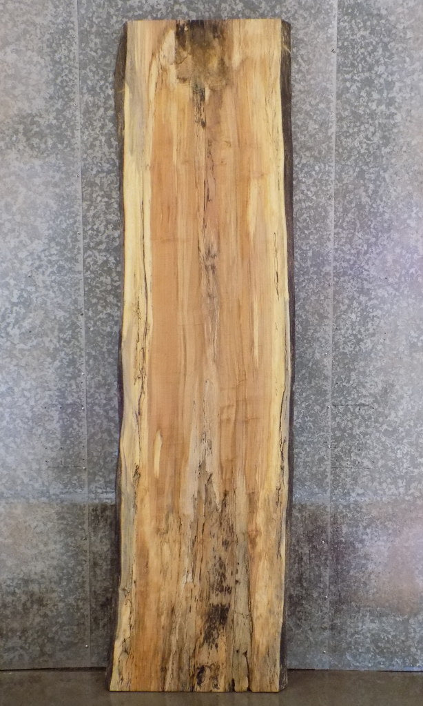 Salvaged Live Edge Spalted Maple Bar/Reception Table Top Slab 45044