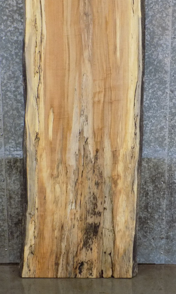 Salvaged Live Edge Spalted Maple Bar/Reception Table Top Slab 45044