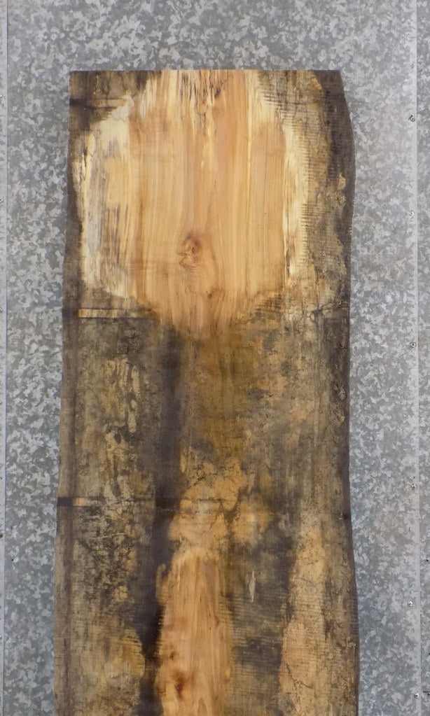 Salvaged Live Edge Spalted Maple Bar/Reception Table Top Slab 45044