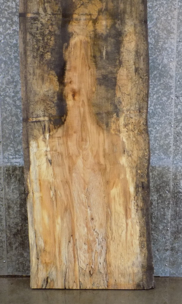 Salvaged Live Edge Spalted Maple Bar/Reception Table Top Slab 45044