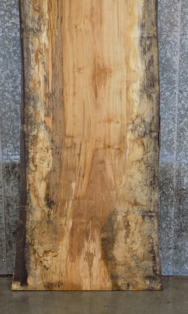 Live Edge Spalted Maple Reclaimed Bar/Reception Table Top Slab 45048