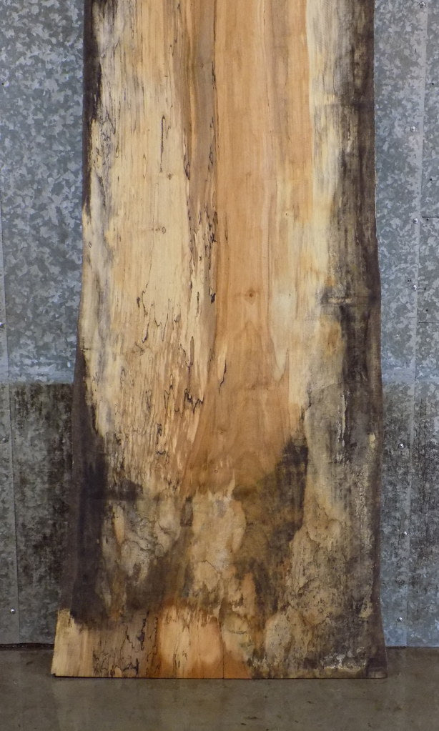 Spalted Maple Rustic Live Edge Bar/Reception Table Top Slab 45049