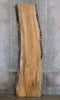 Thumbnail for Natural Edge Spalted Maple Rustic Office Desk/Table Top Slab 45072