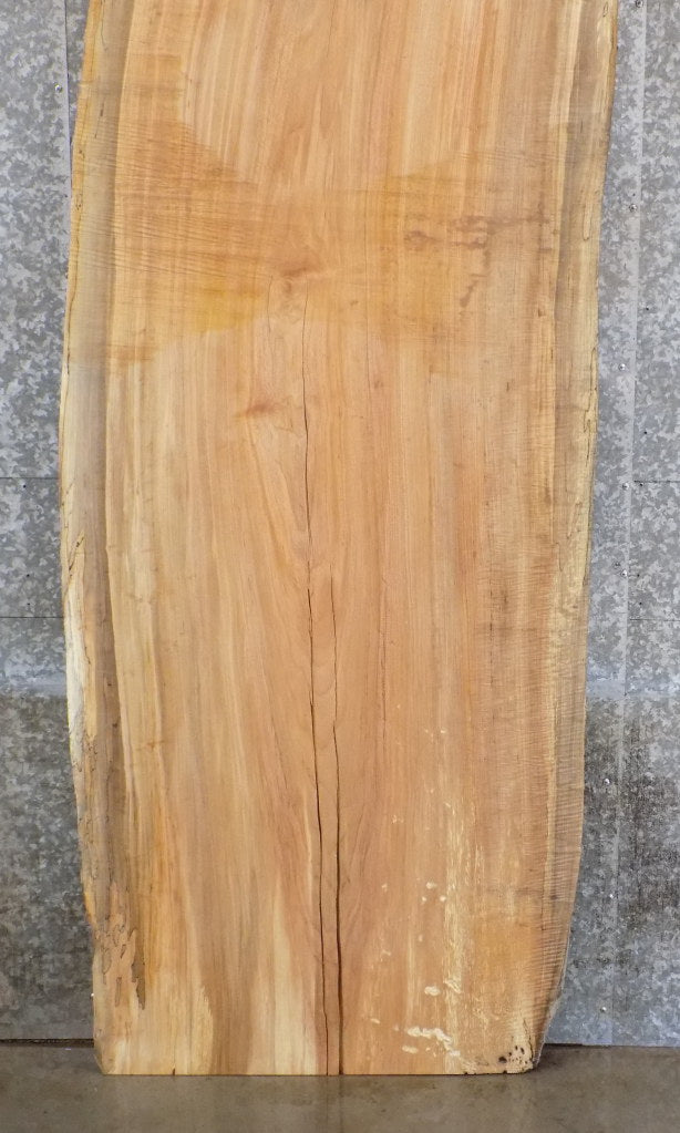 Live Edge Spalted Maple Reclaimed Desk/Table Top Slab CLOSEOUT 45074