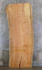 Thumbnail for Natural Edge Spalted Maple Desk/Table Top Slab CLOSEOUT 45076