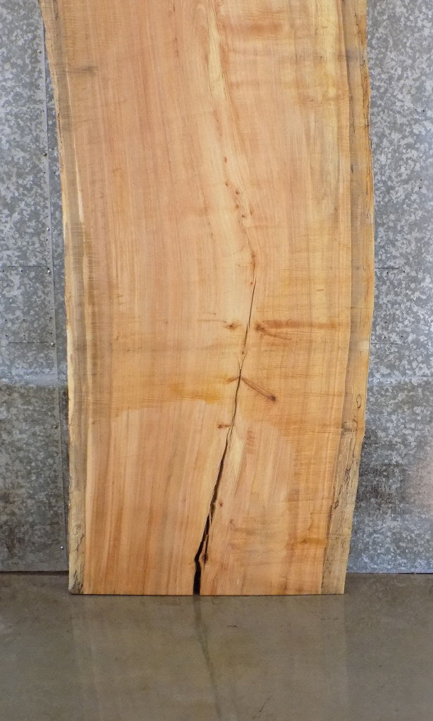 Natural Edge Spalted Maple Desk/Table Top Slab CLOSEOUT 45076