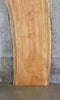 Thumbnail for Natural Edge Spalted Maple Office Desk/Table Top Slab CLOSEOUT 45079