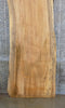 Thumbnail for Rustic Live Edge Spalted Maple Office Desk/Table Top Slab 45081