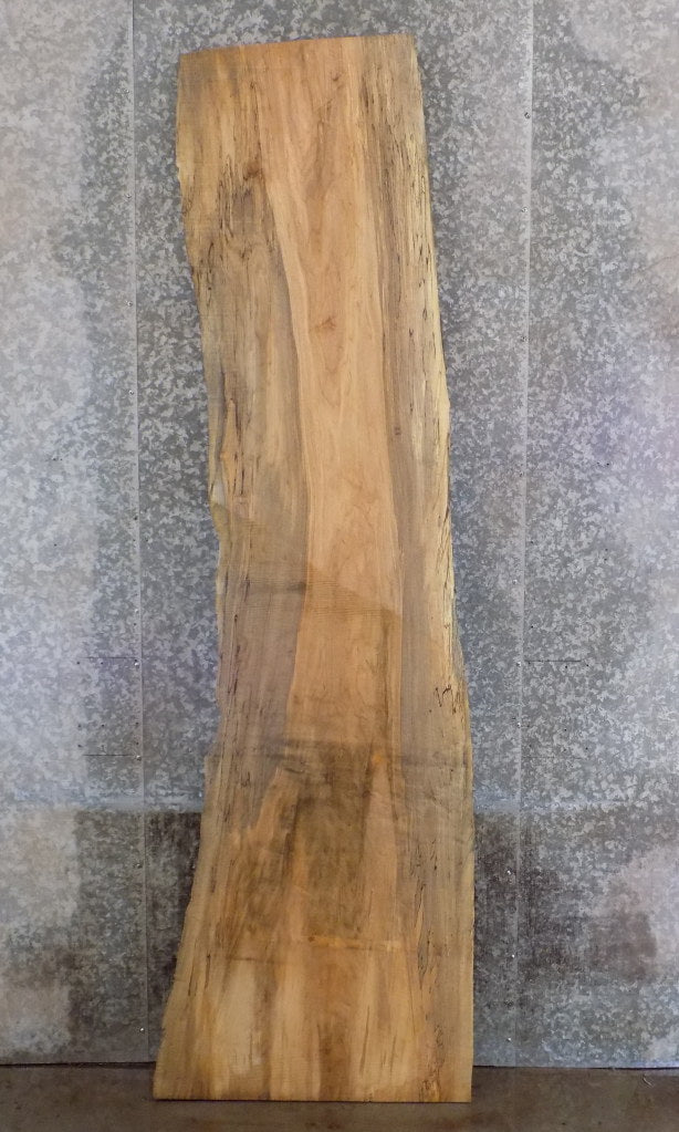 Live Edge Spalted Maple Office Desk/Table Top Slab CLOSEOUT 45082