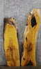 Thumbnail for 2- Yellow Mulberry Live Edge Side Table Tops/End Table Tops 4692-4693