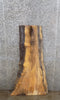 Thumbnail for Live Edge Spalted Maple Mantle/Accent/Coffee Table Top Slab 4696