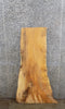 Thumbnail for Live Edge Spalted Maple Mantle/Accent/Coffee Table Top Slab 4696