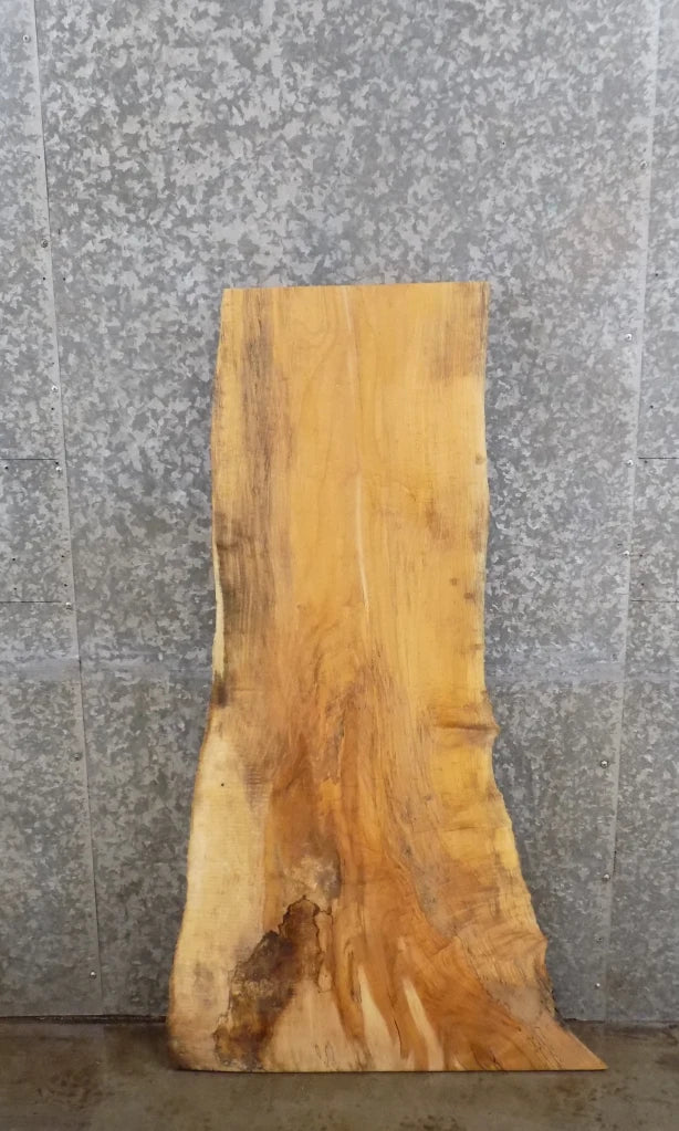 Live Edge Spalted Maple Mantle/Accent/Coffee Table Top Slab 4696