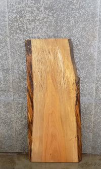 Thumbnail for Live Edge Spalted Maple Coffee/End/Accent Table Top Slab 4700