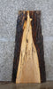 Thumbnail for Spalted Maple Live Edge Side Table Top/End Table Top 4795