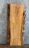 Thumbnail for Ash Live Edge Coffee Table Top/End Table Top 4817