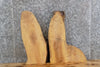 Thumbnail for 2- Live Edge Salvaged White Oak Wall Clock/Wall Art Slabs 5061-5062