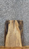 Thumbnail for Live Edge Spalted Maple Taxidermy Mount/Accent Table Top Slab 5082