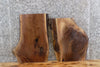 Thumbnail for 2- Live Edge Black Walnut Taxidermy Mount/Accent Table Top Slab 5084,5086