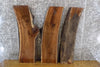 Thumbnail for 3- Bookmatched Live Edge Black Walnut End Table Top Slabs 5094-5096