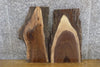 Thumbnail for 2- Rustic Black Walnut Live Edge DIY Charcuterier Boards/Slabs 5107-5108