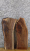 Thumbnail for 2- Live Edge Black Walnut Craft Pack/DIY Charcuterie Boards 5127-5128