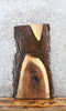 Thumbnail for Live Edge Black Walnut End Table Top Slab 5146