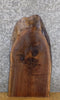 Thumbnail for Black Walnut Rustic Live Edge End/Entry/Side Table Top Slab 5315