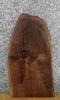 Thumbnail for Black Walnut Rustic Live Edge End/Entry/Side Table Top Slab 5315