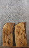 Thumbnail for 2- Live Edge Ash Wall Shelves/Taxidermy Mounts 5338-5339