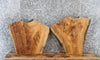 Thumbnail for 2- Live Edge Ash Wooden Slabs/ Crotch Wood/ End Tables 5354-5355