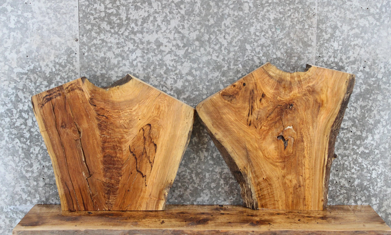 2- Live Edge Ash Wooden Slabs/ Crotch Wood/ End Tables 5354-5355