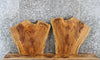 Thumbnail for 2- Live Edge Ash Wooden Slabs/ Crotch Wood/ End Tables 5354-5355