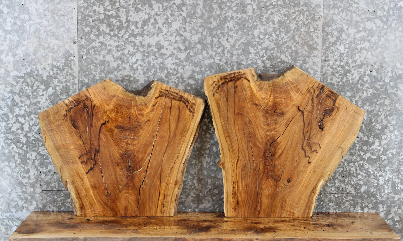 2- Live Edge Ash Wooden Slabs/ Crotch Wood/ End Tables 5354-5355