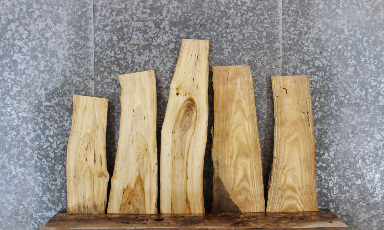 5- Natural Edge Ash Charcuterie Boards 5421-5425