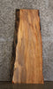 Thumbnail for Maple Live Edge Side Table Top/End Table Top 546