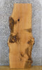 Thumbnail for Red Oak Salvaged Live Edge Coffee/Side Table Top Wood Slab 550