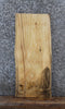 Thumbnail for Rustic Natural Edge Ash End Table Slab 577