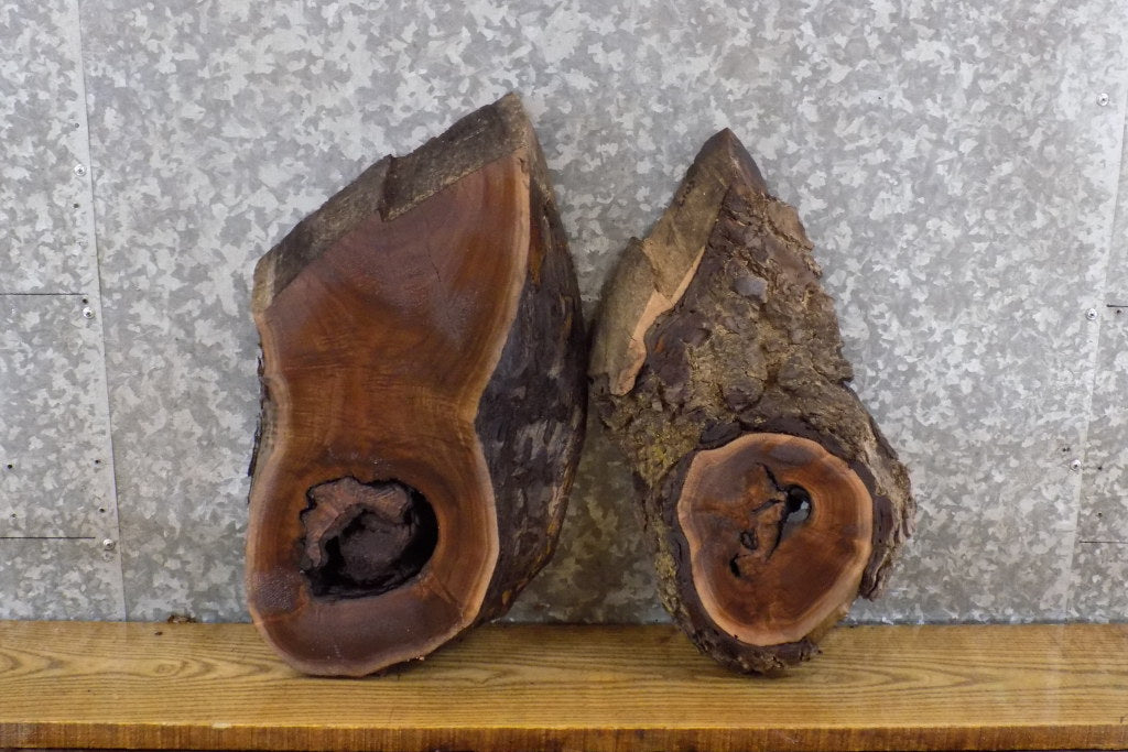 2- Black Walnut Live Edge Oval Cut Centerpieces/Craft Pack Slabs 6102-6103