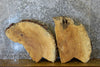 Thumbnail for 2- Oval Cut Spalted Maple Craft Pack Wood Slabs 6154-6155