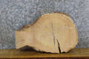 Thumbnail for White Oak Live Edge Oval Cut End/Accent Table Top Slab 6173