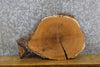 Thumbnail for White Oak Rustic Live Edge Oval Cut End Table Top Slab 6174