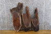 Thumbnail for 3- Oval Cut Live Edge Black Walnut Craft Pack/Taxidermy Bases 6218-6220